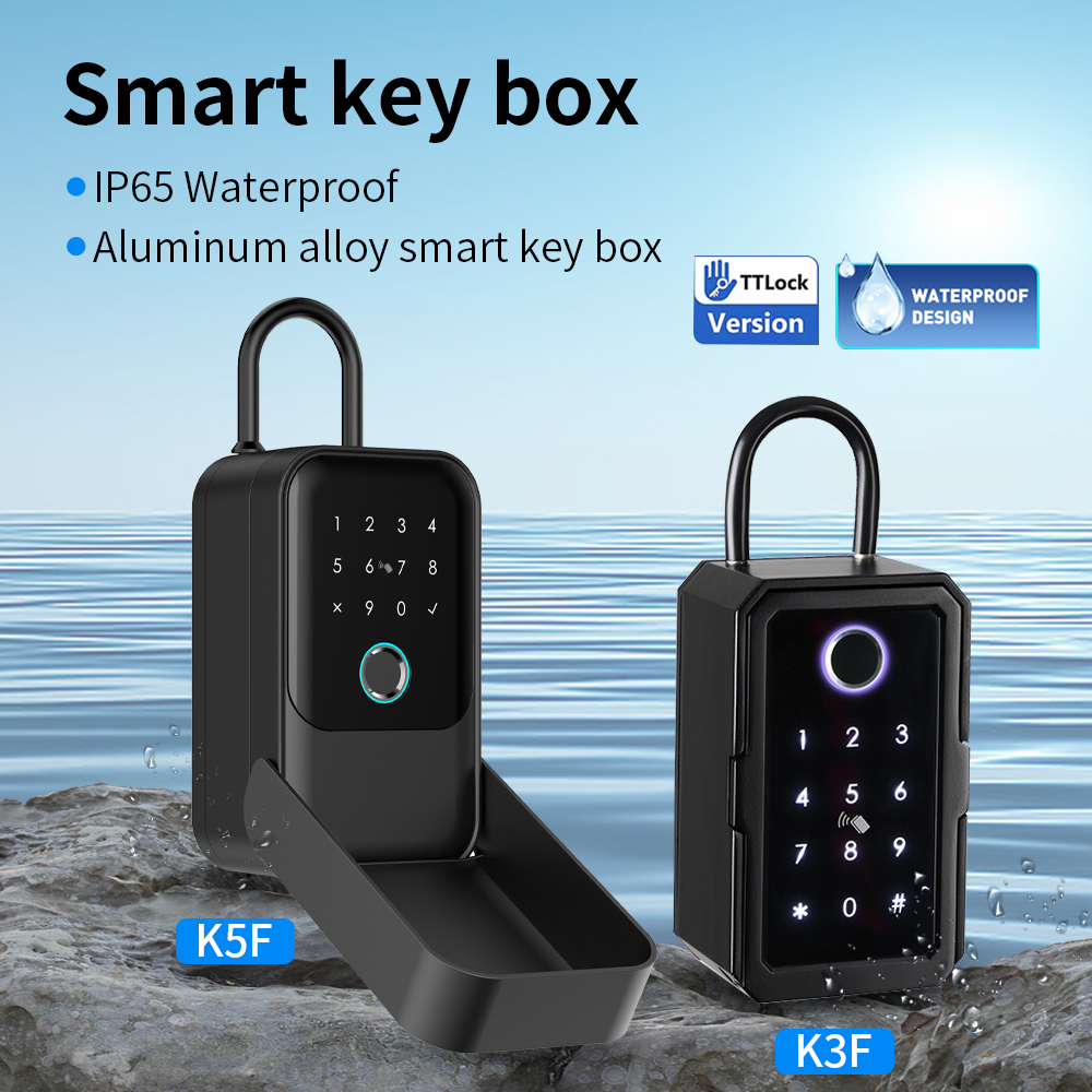 Tuya Smart Life App or TTLock  – Lockbox Key Secure Bewertung und Preis