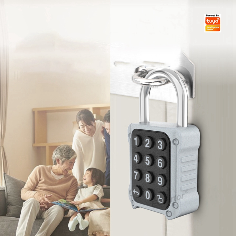 EGFirtor Tuya APP Electronic S – Lockbox Key Secure Bewertung und Preis