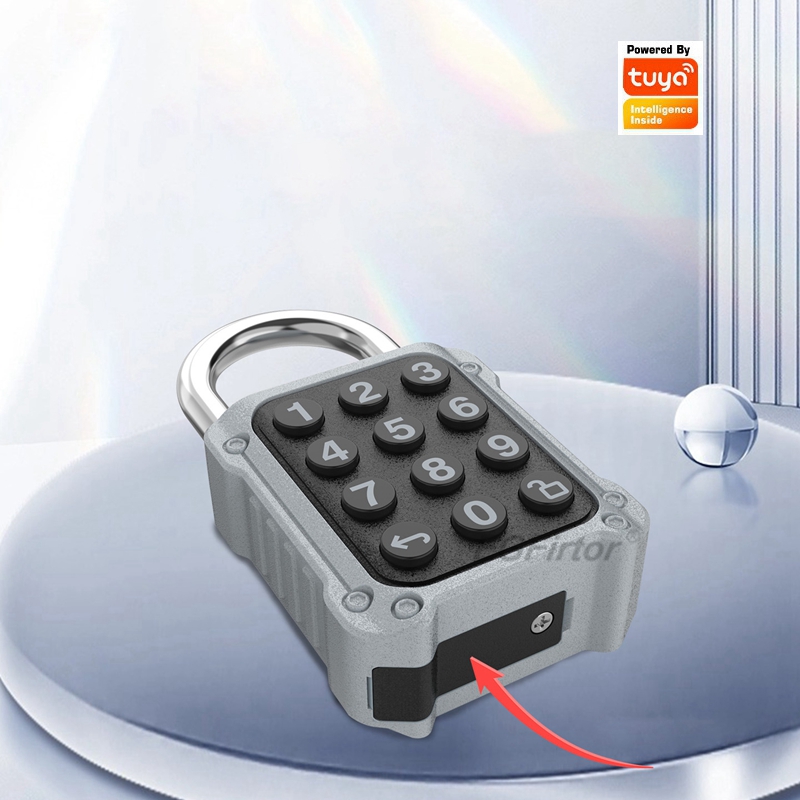 EGFirtor Tuya APP Electronic S – Lockbox Key Secure Bewertung und Preis